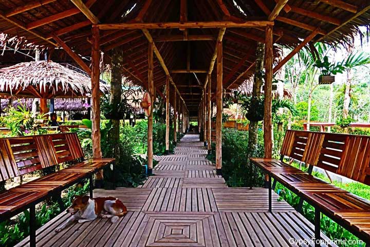 The Phuket Elephant Sanctuary entrance. It is a covered wooden walkway, designed from bamboo and palm fronds, with benches and various design aspects.