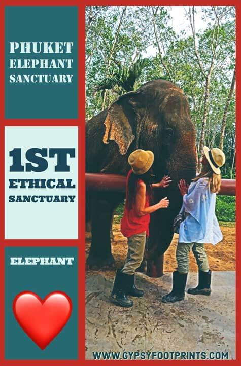 Phuket Elephant Sanctuary. My article about the 1st ethical elephant sanctuary in Phuket, Thailand. #phuket #thailand #ethicalsanctuary #Phuketelephantsanctuary #gypsyfootprints